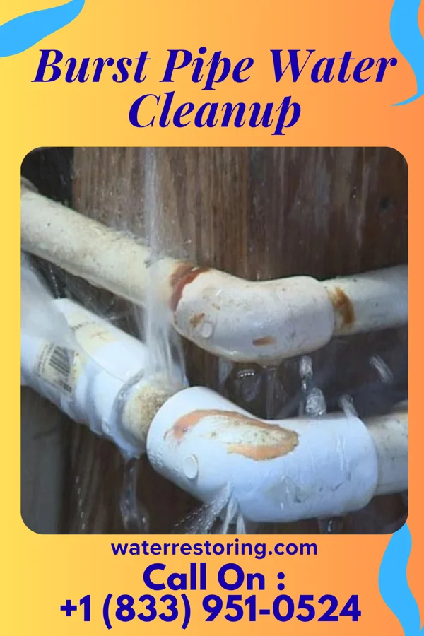 Burst Pipe Water Cleanup in Braidwood, IL