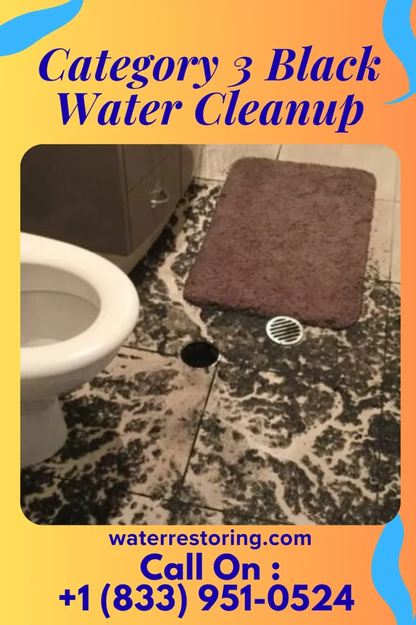 Category 3 Black Water Cleanup in Braidwood, IL