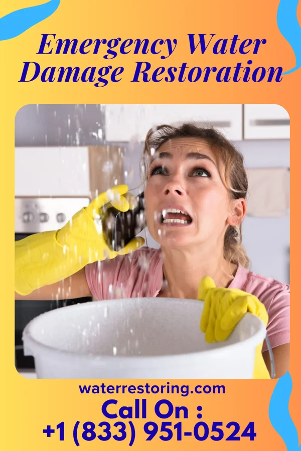 Emergency Water Damage Restoration in Braidwood, IL