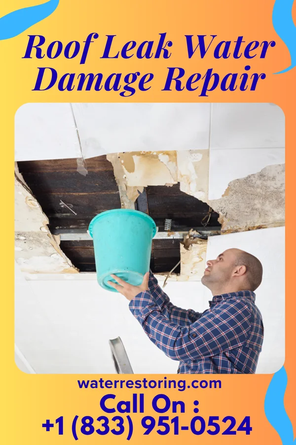 Roof Leak Water Damage Repair in Braidwood, IL